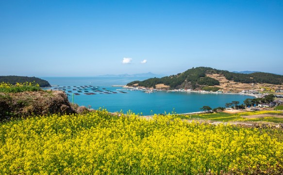 [181번]청산도 기차여행 - 보길도 + 두륜산 + 땅끝마을 2일 